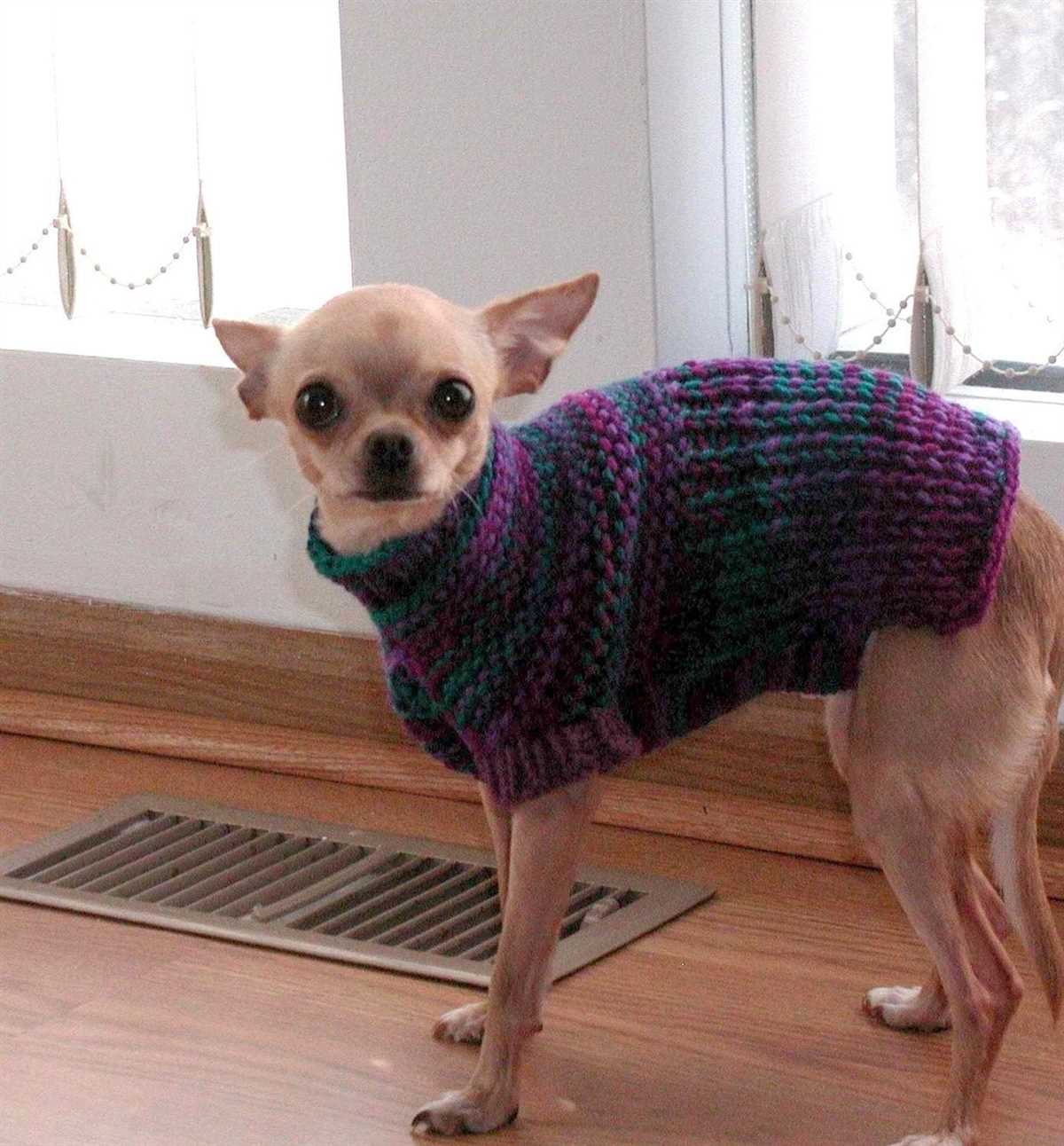 Knit dog sweater pattern chihuahua