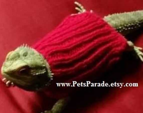 Bearded dragon sweater knitting pattern