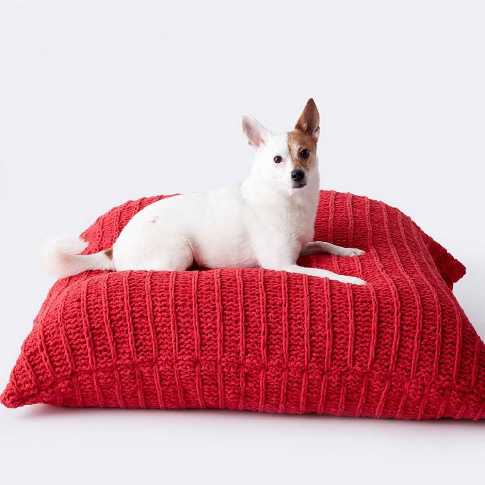 Easy knitting dog sweater free patterns