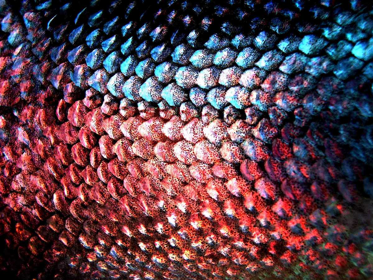 Fish scale knitting pattern