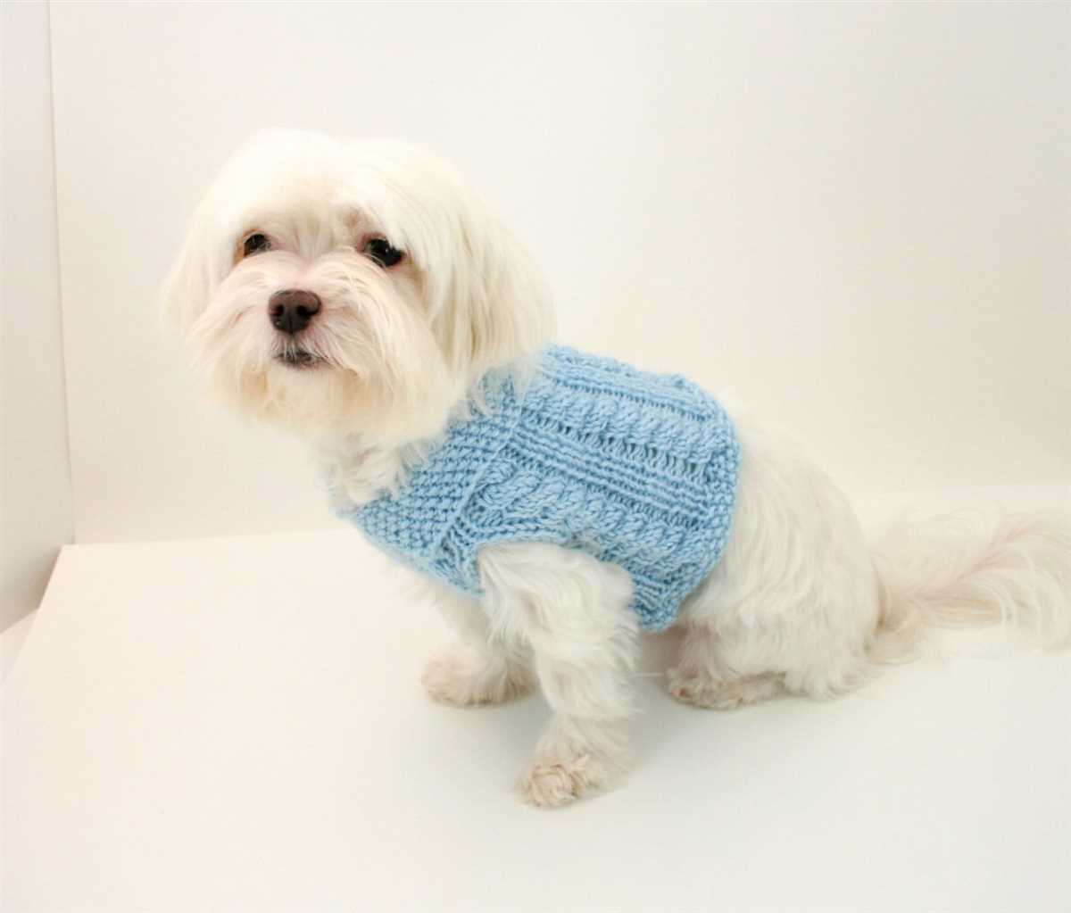 Free knitting patterns for dogs clothes