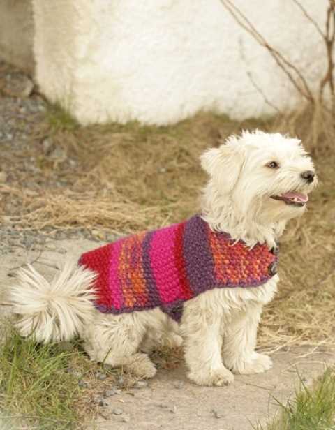Free knitting patterns for dogs clothes