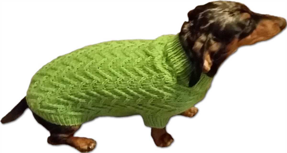 Knit dog coat pattern