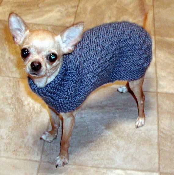 Knit dog sweater pattern chihuahua