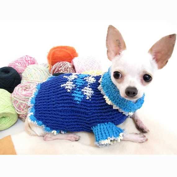 Knit dog sweater pattern chihuahua
