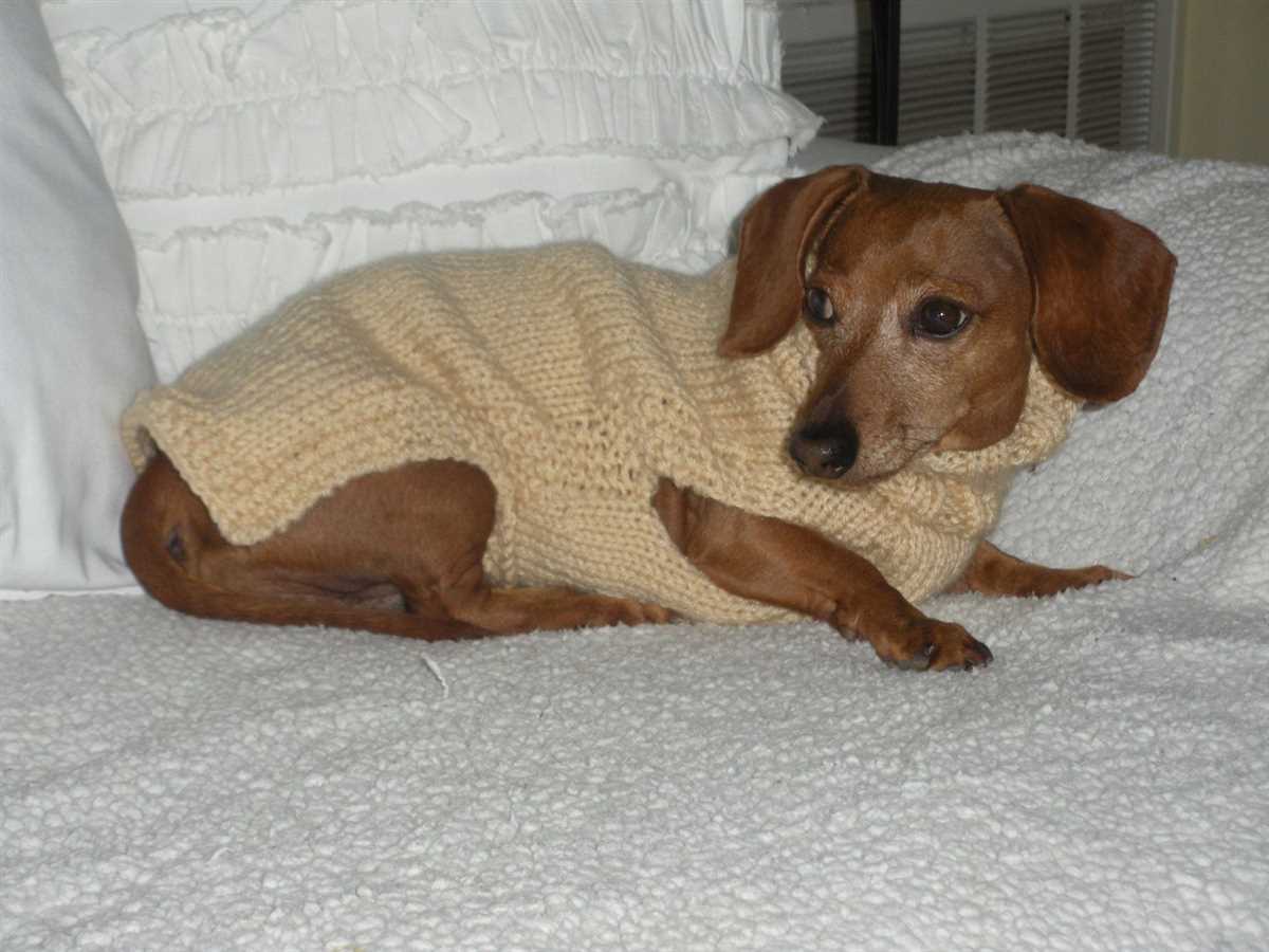 Knitted dog sweater pattern dachshund
