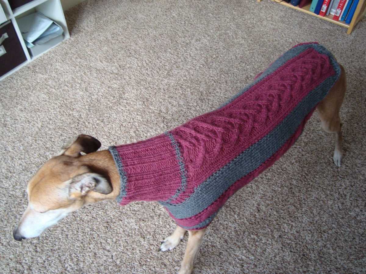 Knitted dog coat pattern pdf