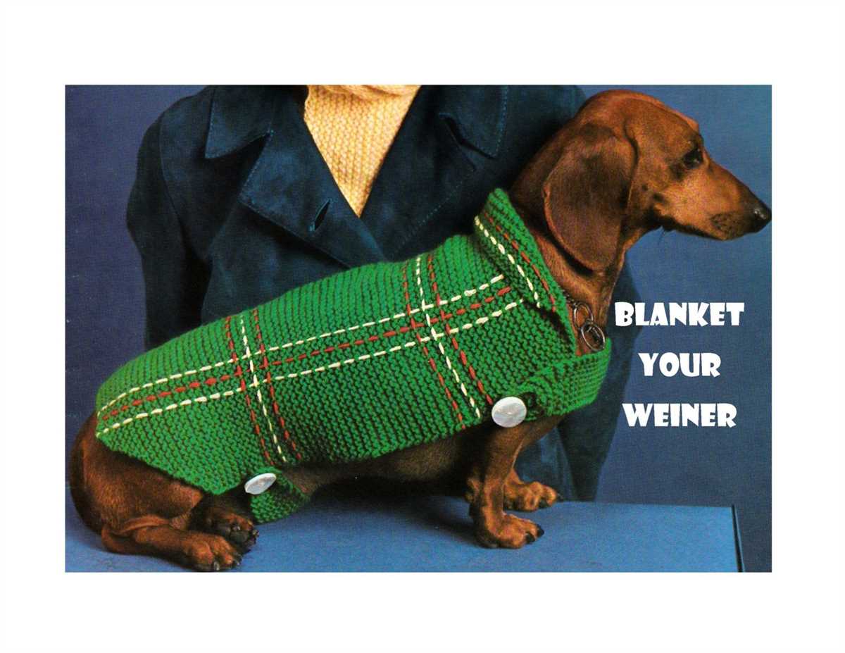 Knitted dog sweater pattern dachshund