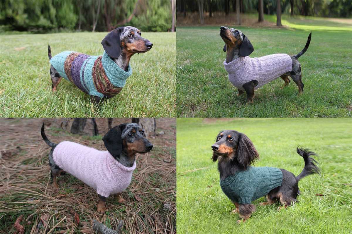 Knitted dog sweater pattern dachshund