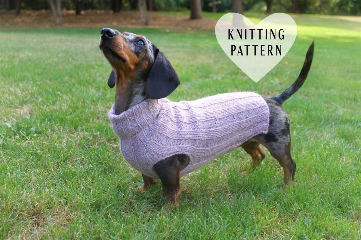 Knitted dog sweater pattern dachshund