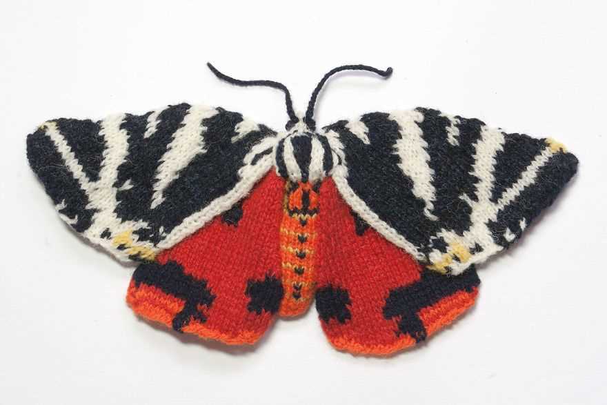 Large blue butterfly knitting pattern
