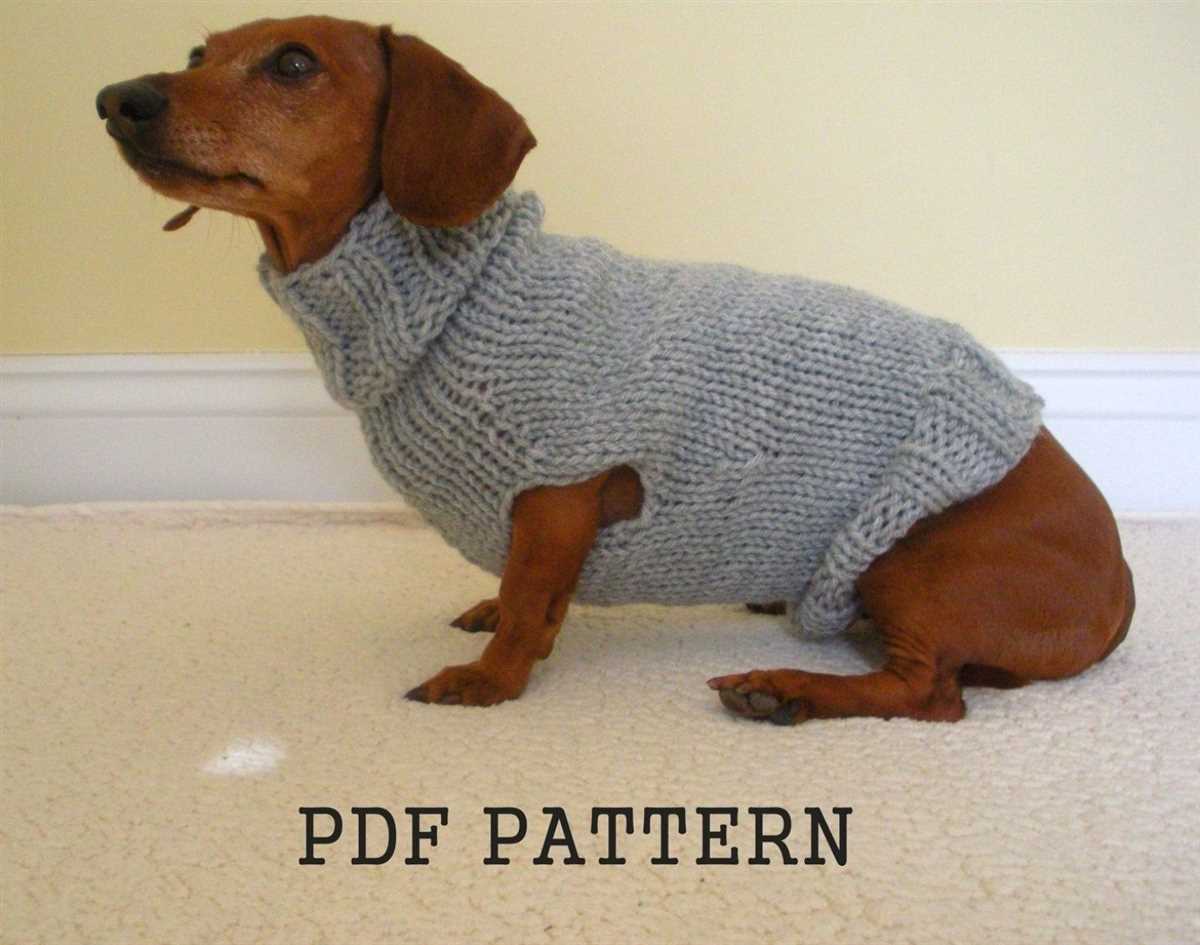 Knitted dog coat pattern pdf