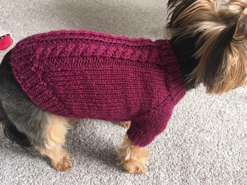 Easy knitting dog sweater free patterns