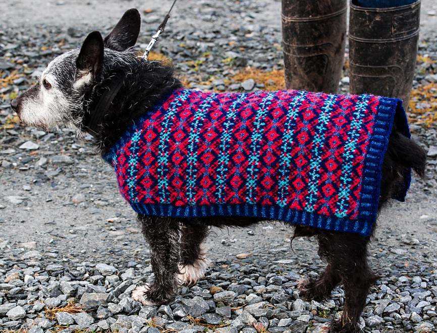 Easy knitting dog sweater free patterns