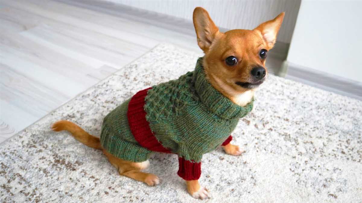 Easy knitting dog sweater free patterns