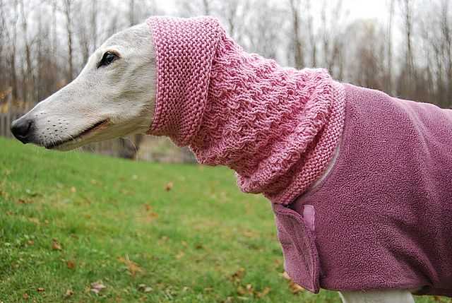 Free greyhound knitting pattern