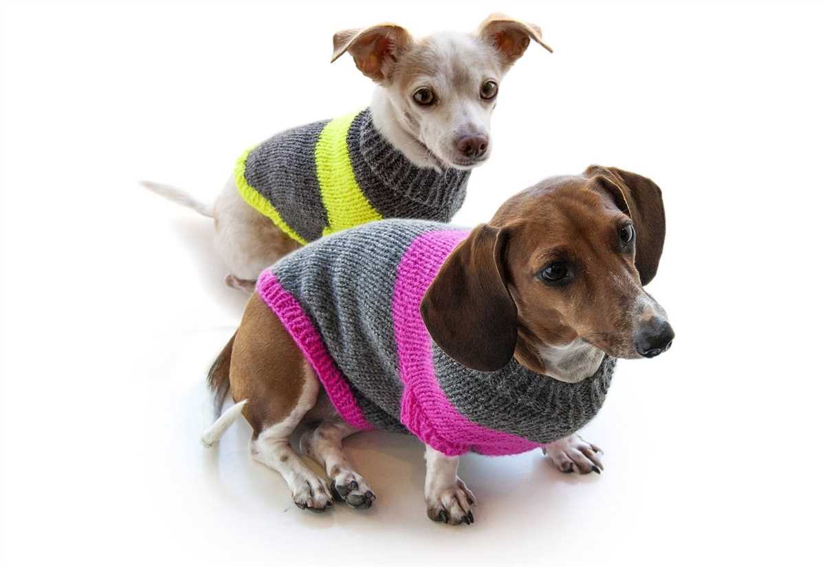 Free knitting patterns for dogs clothes