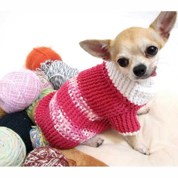 Knit dog sweater pattern chihuahua