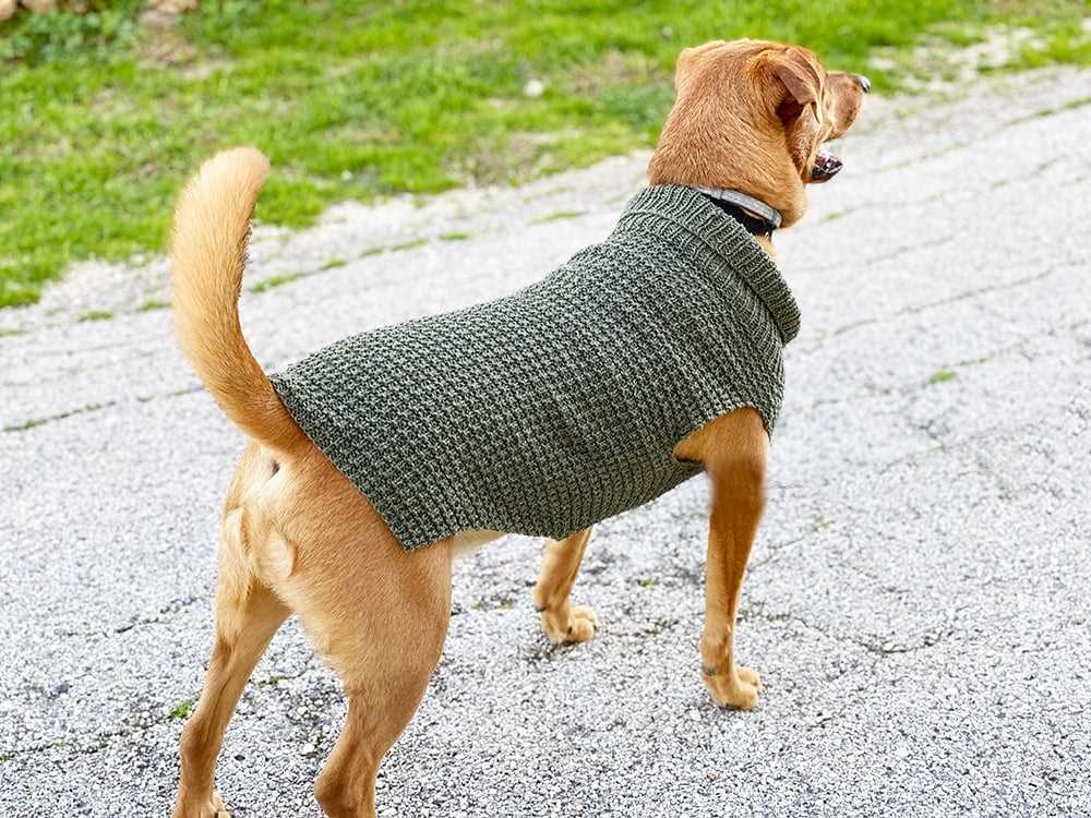 Knit dog coat pattern