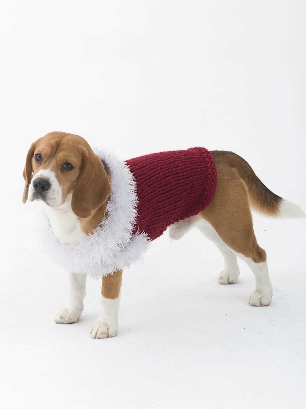 Free knitting patterns for dogs clothes