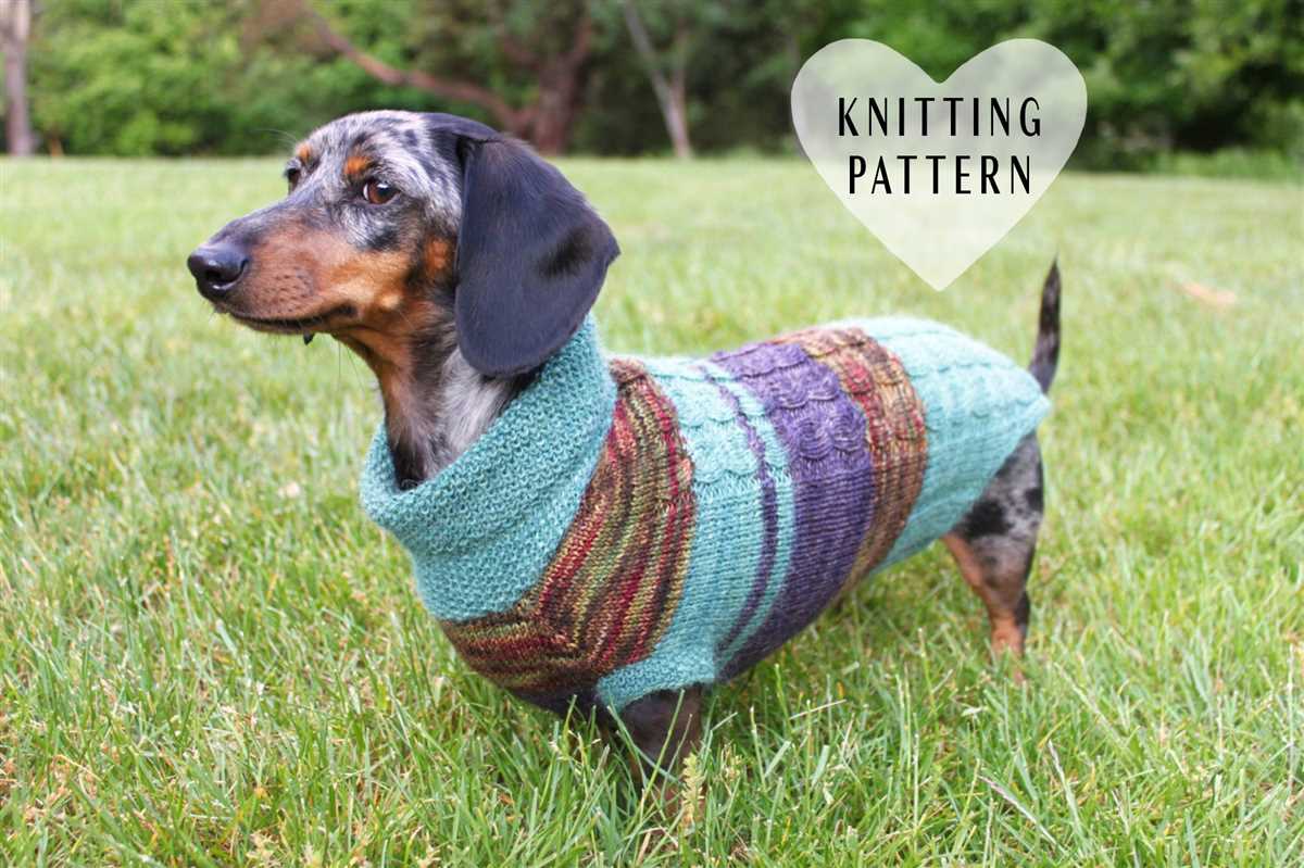Free knitting patterns for dogs clothes