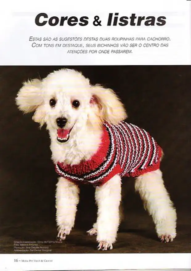 Free knitting patterns for dogs clothes