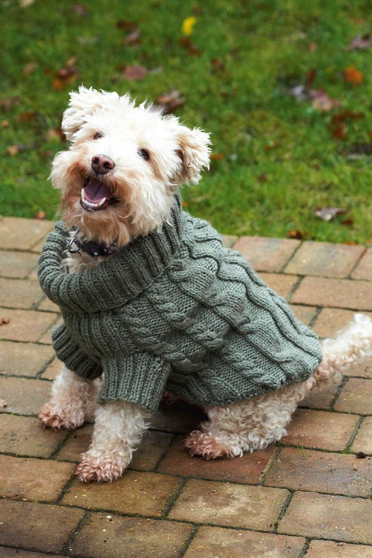 Free knitting patterns for dogs clothes