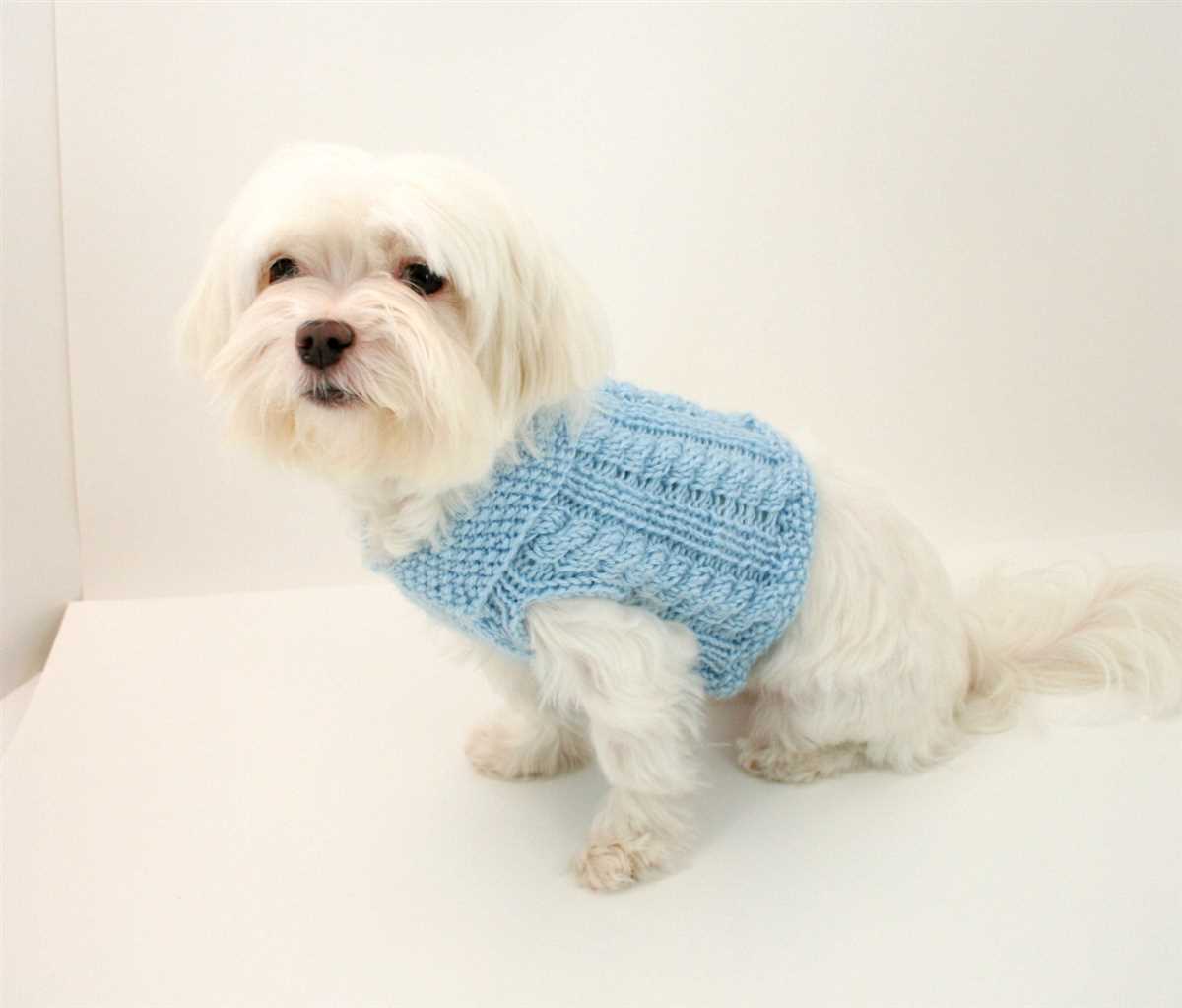 Knitted dog coat pattern pdf