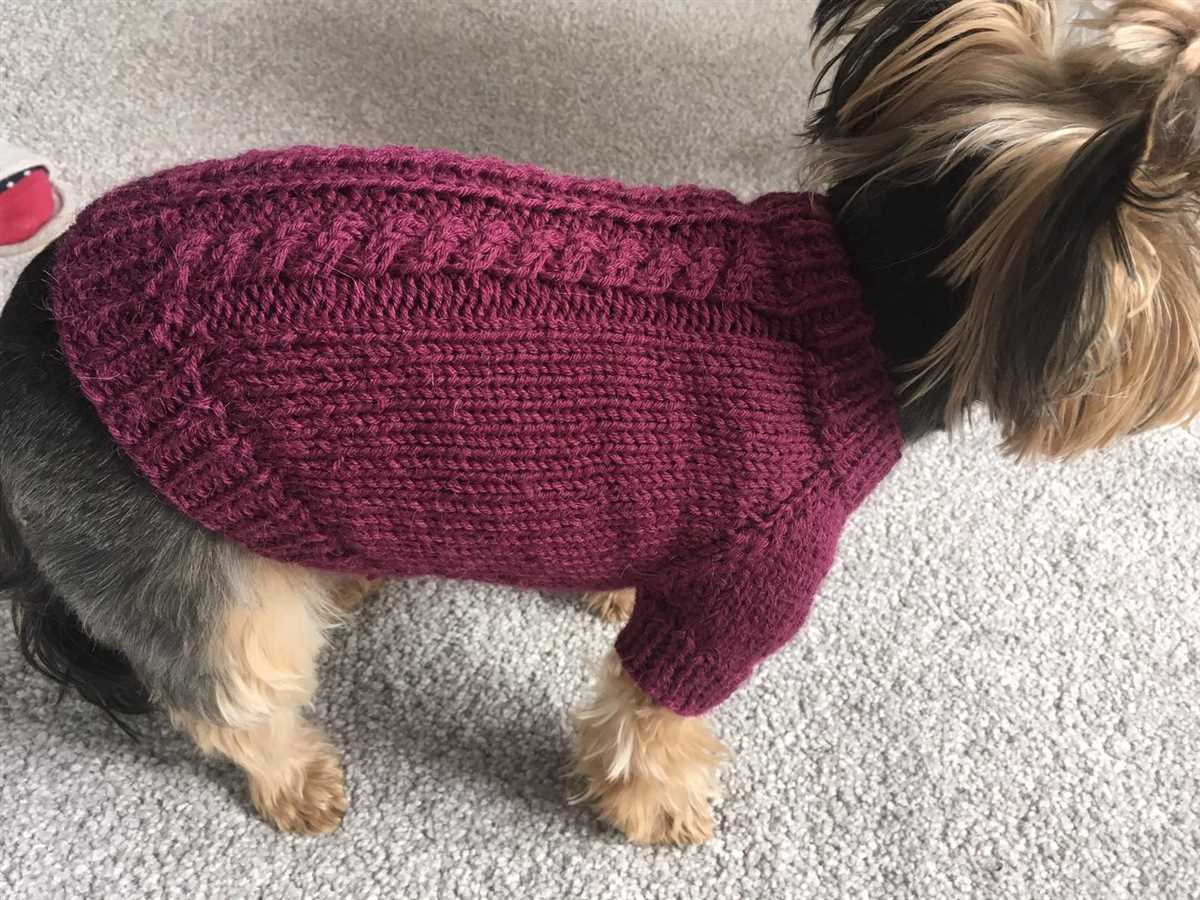 Easy small dog sweater knitting pattern free