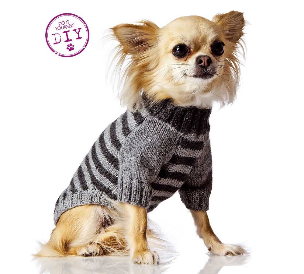 Knit dog sweater pattern chihuahua
