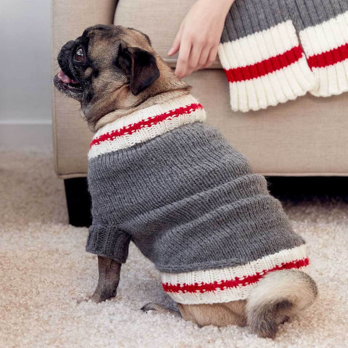 Knit dog coat pattern