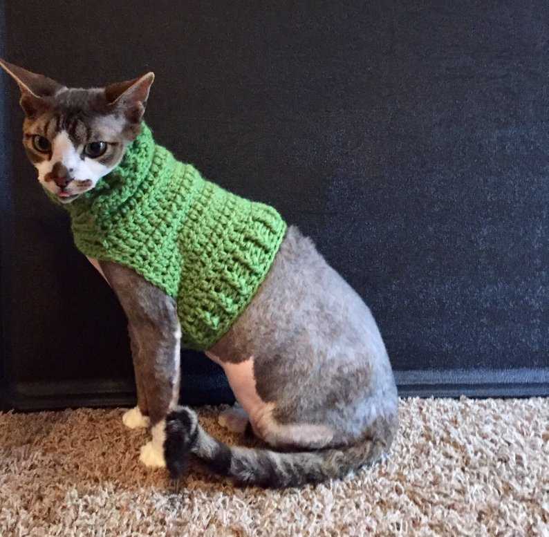 Knitted cat sweater patterns free