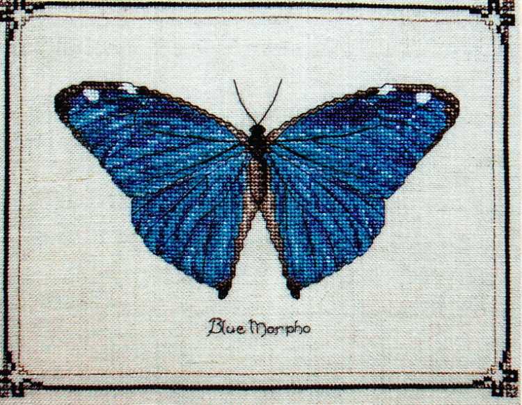 Large blue butterfly knitting pattern