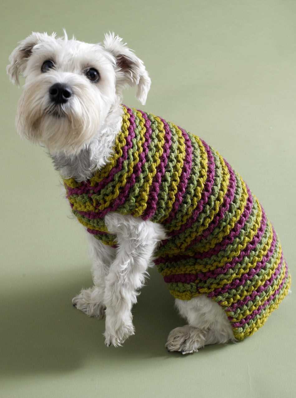 Stylish and Cozy - Knit Your Dog's Wardrobe with These Free Patterns Free knitting patterns for dogs clothes