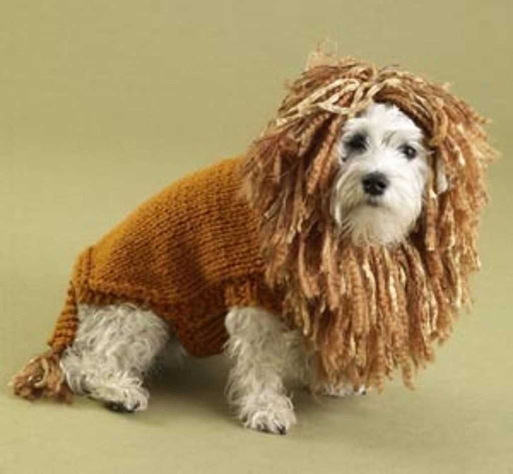 Lion brand patterns knitting