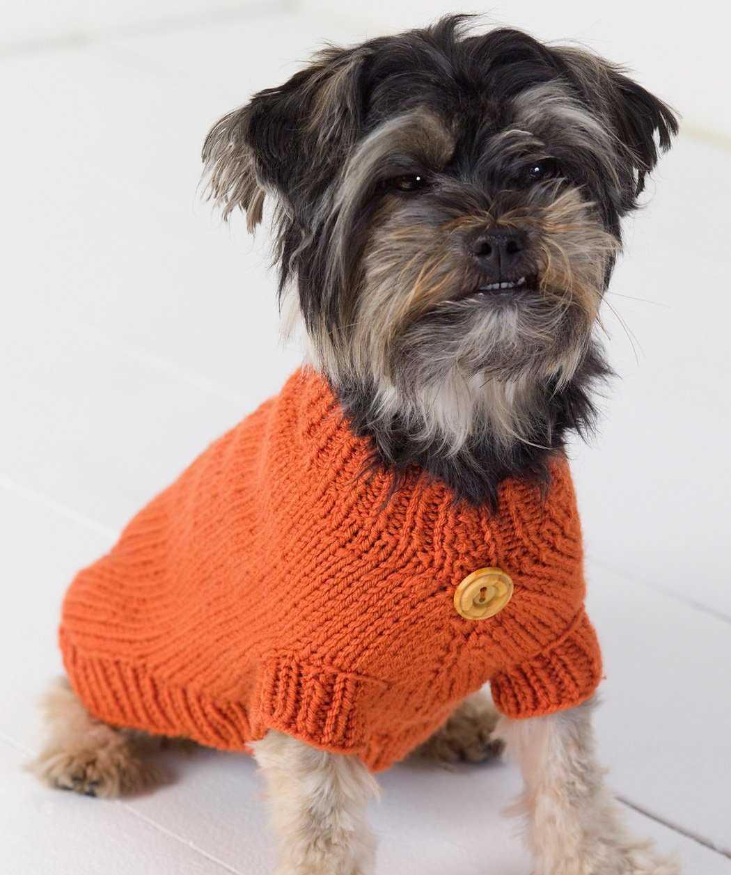 Easy small dog sweater knitting pattern free