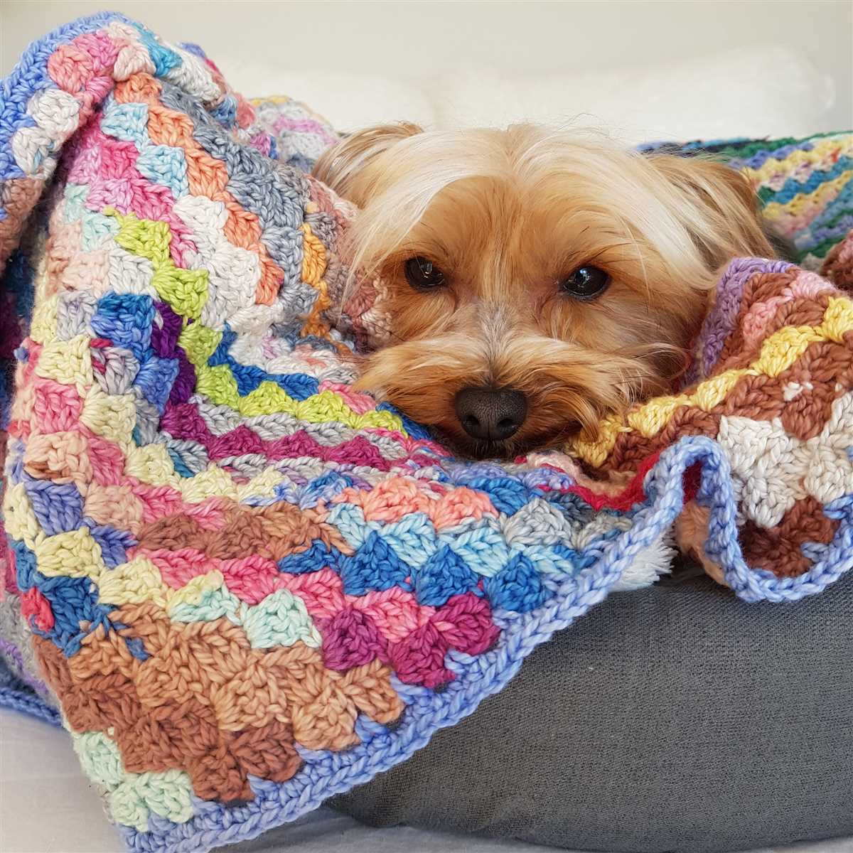 Dog blanket knitting pattern