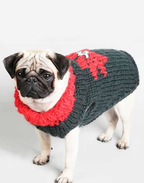 Free knitting patterns for dogs clothes