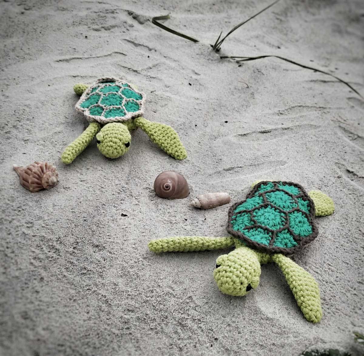Sea turtle knitting pattern