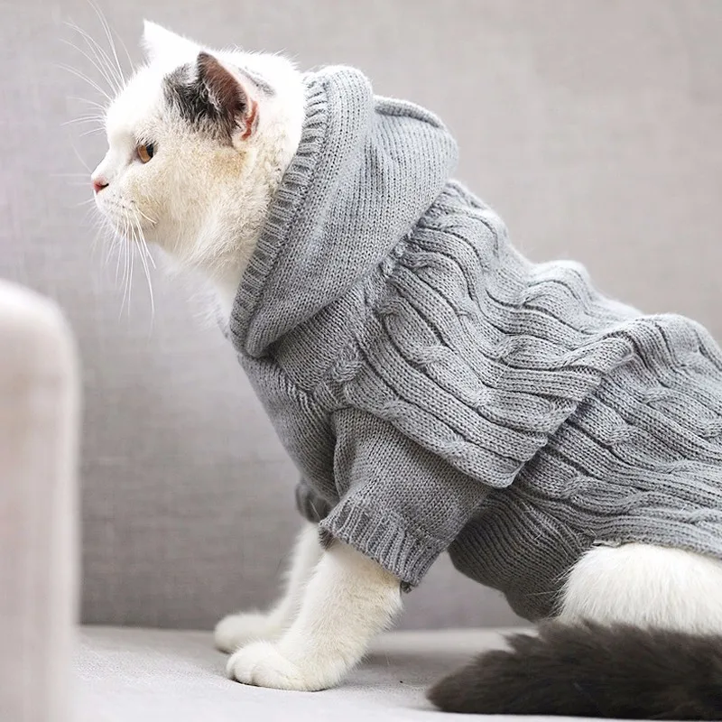 Knitted cat sweater patterns free