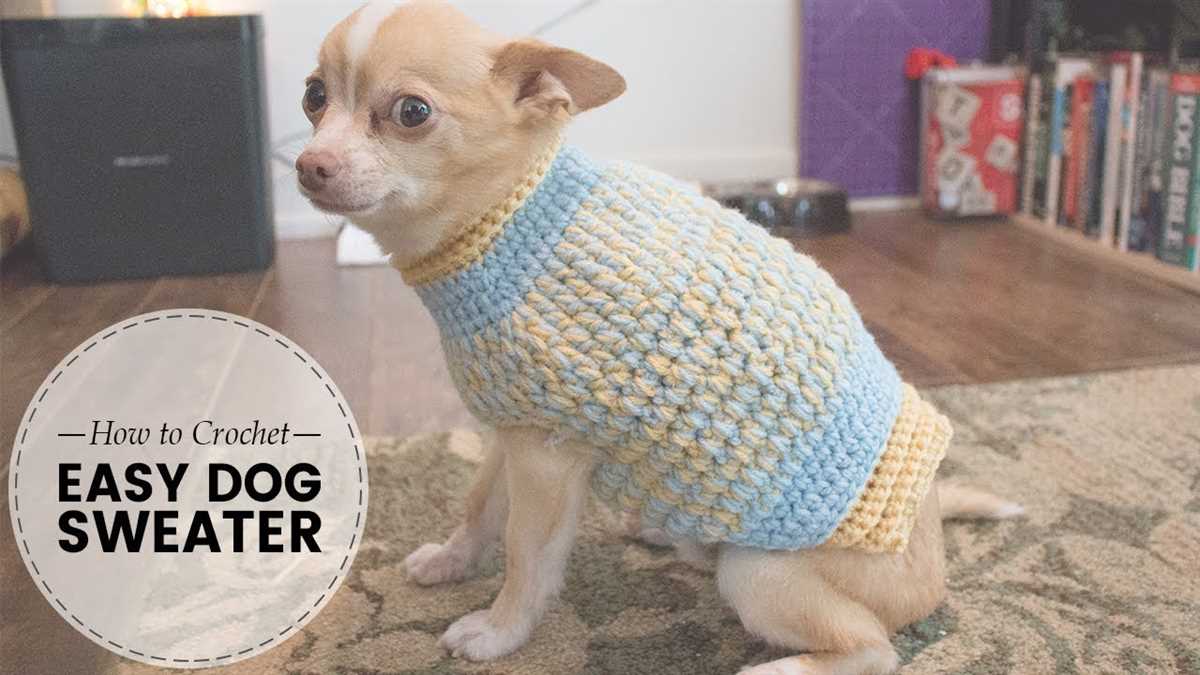 Easy knitting dog sweater free patterns