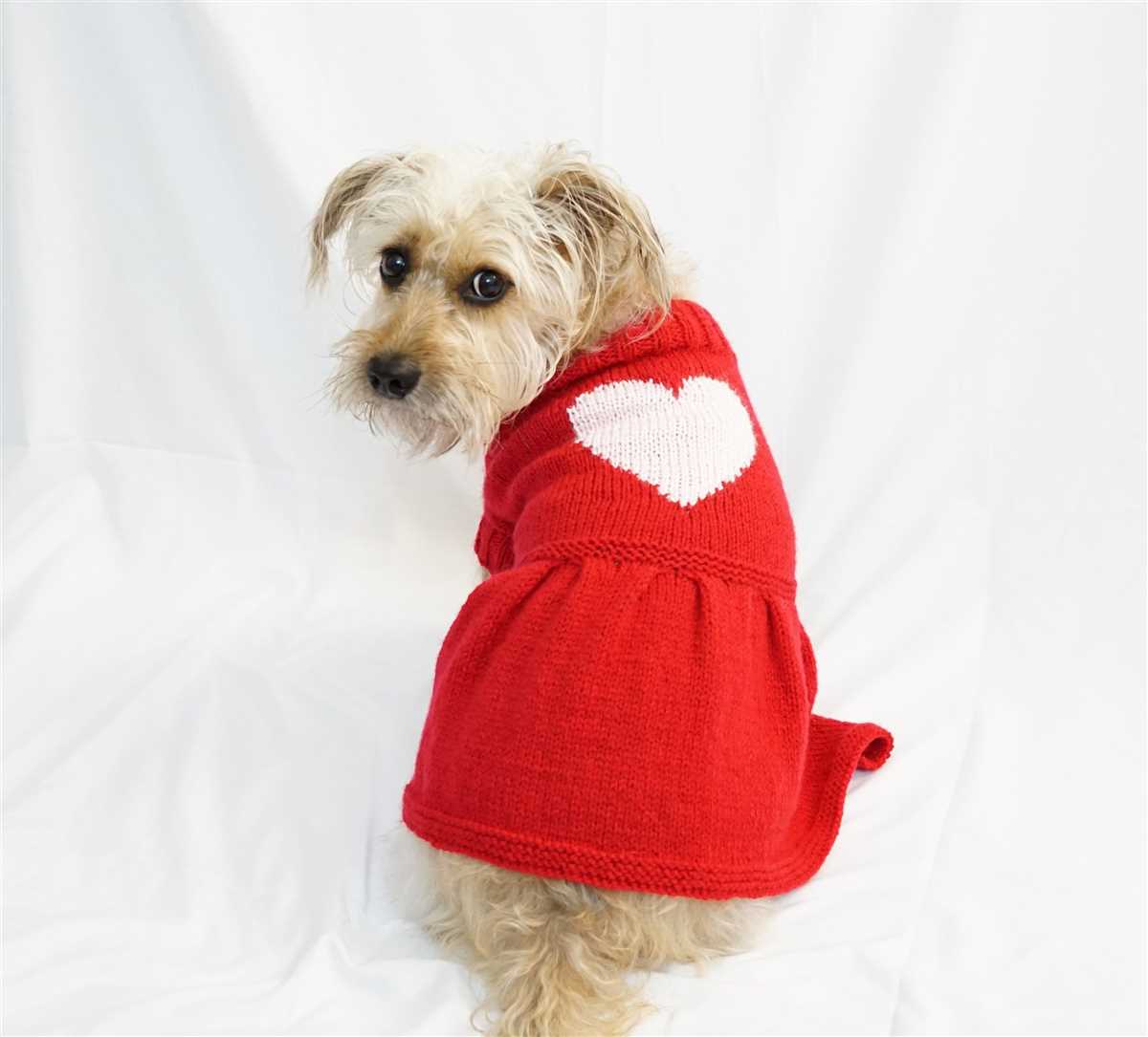 Knit dog coat pattern