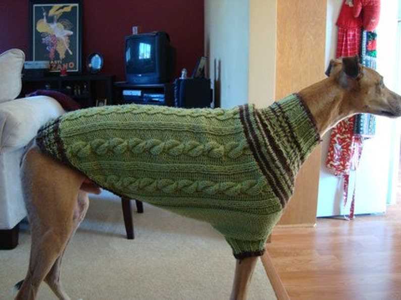 Knitted dog coat pattern pdf