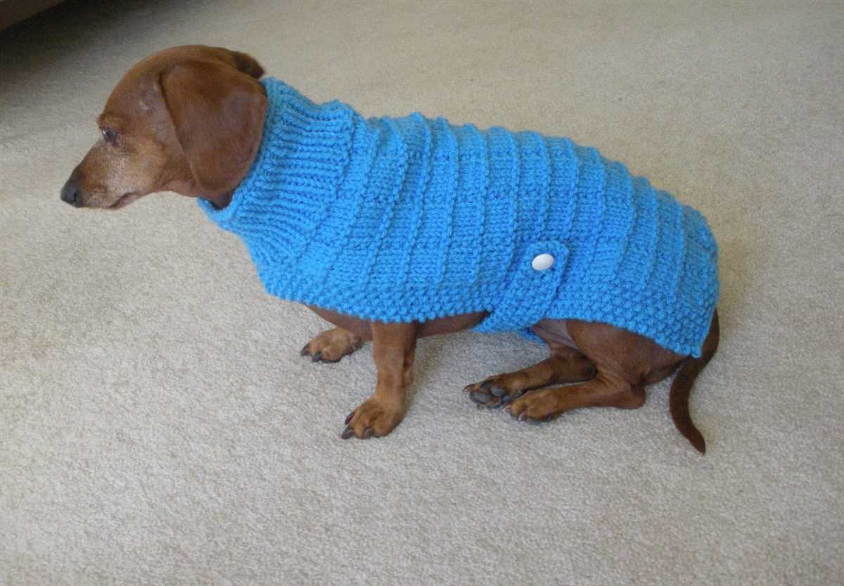 Knitted dog sweater pattern dachshund