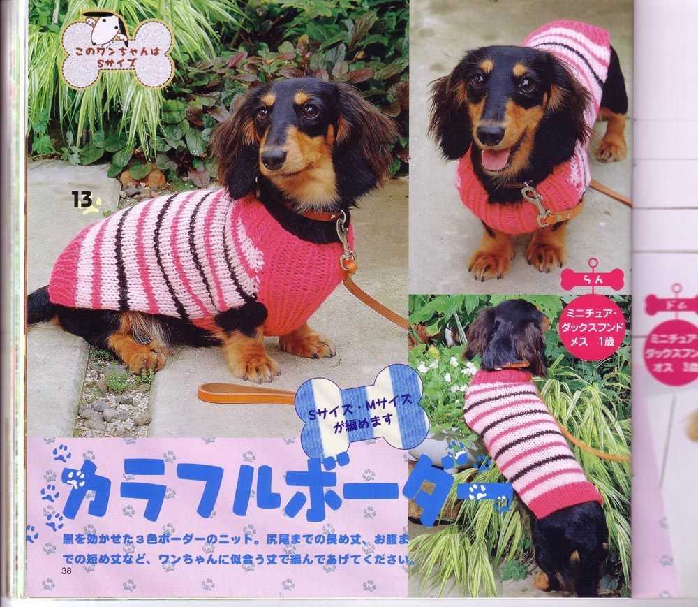 Free knitting patterns for dogs clothes