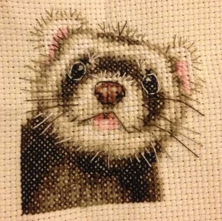 Ferret knitting pattern