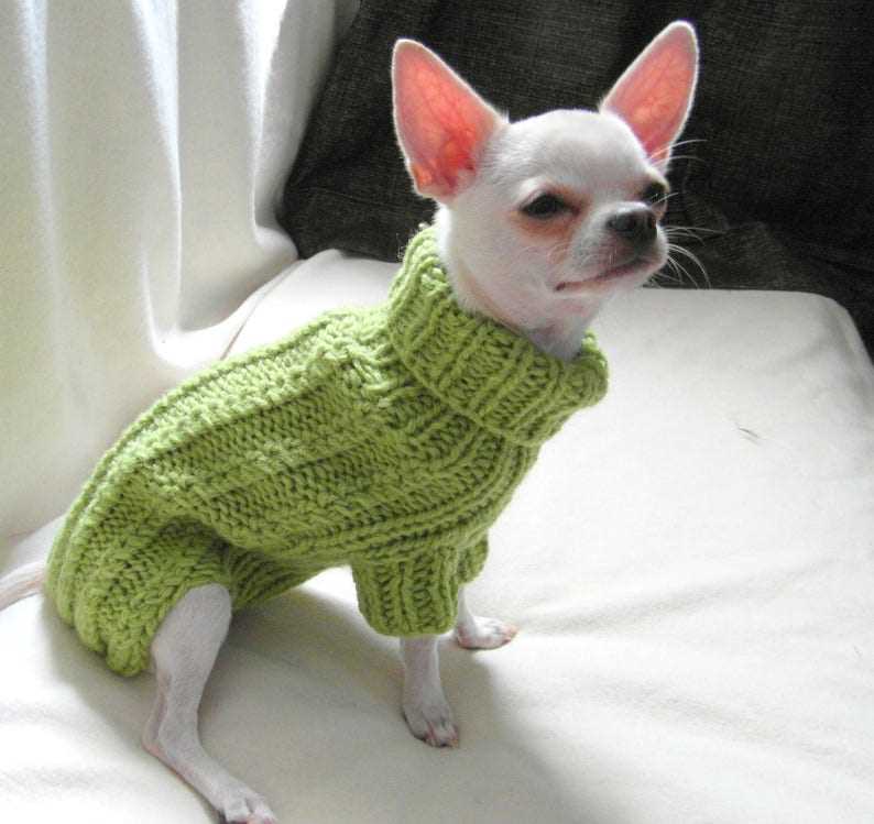 Knit dog sweater pattern chihuahua