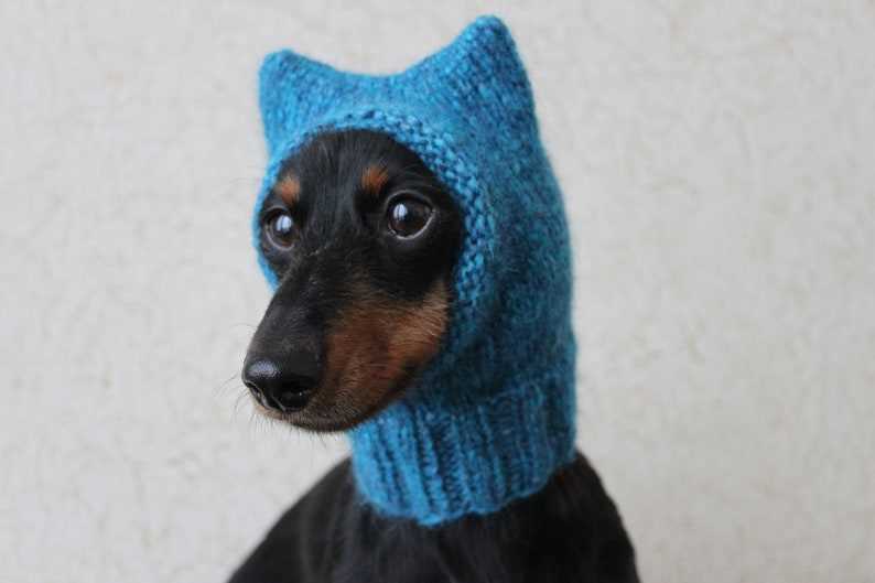 Kitty cat hat knitting pattern