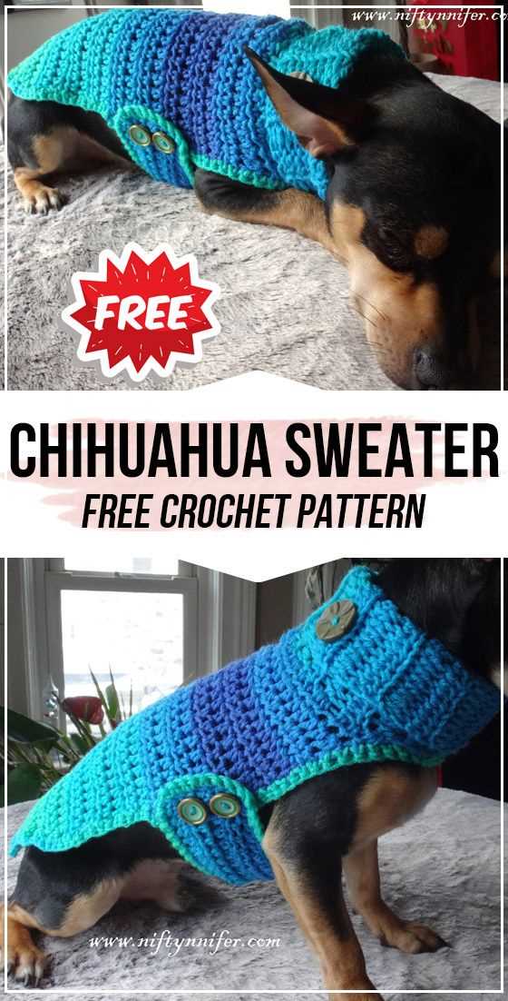 Knit dog sweater pattern chihuahua
