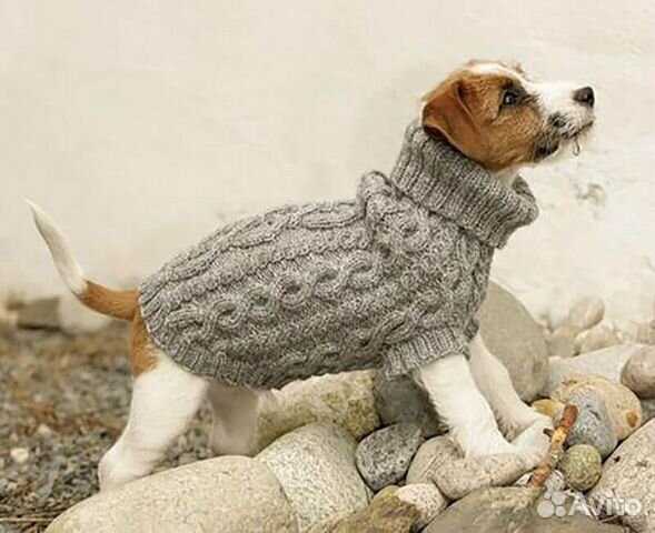 Knit dog coat pattern
